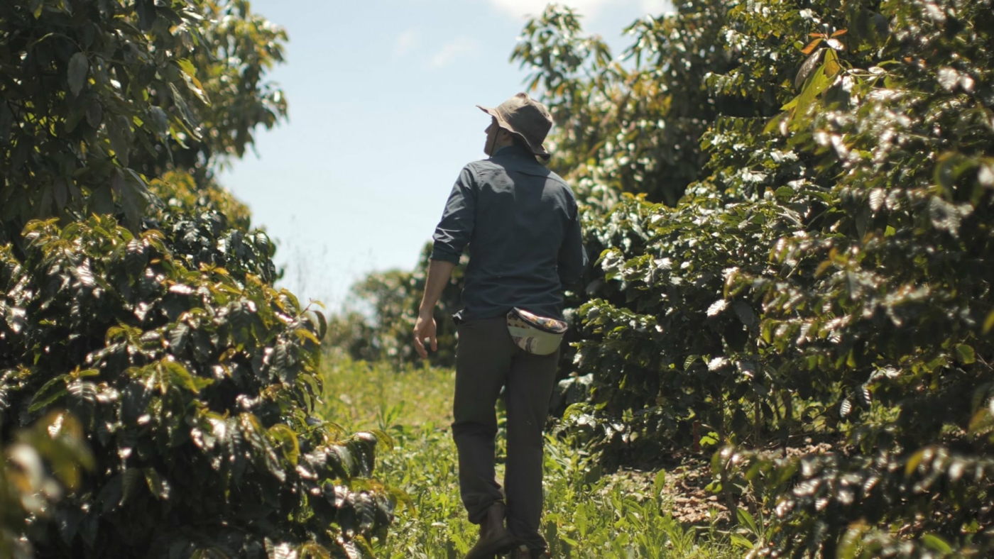 Kiss the Ground Kiss the Ground